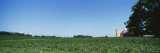 Green Soybean Crop in a Field, Grand Rapids, Michigan, USA Photographic Print by Panoramic Images 