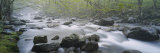 Little Pigeon River, Great Smoky Mountains National Park, Tennessee, USA Lámina fotográfica por Panoramic Images
