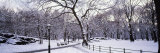 Bare Trees During Winter in Central Park, Manhattan, New York City, New York, USA Lámina fotográfica por Panoramic Images Bare Trees During Winter in Central Park, Manhattan, New York City, New York, USA Lámina fotográfica por Panoramic Images