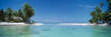Palm Trees on the Beach, Tikehau, French Polynesia Photographie par Panoramic Images 