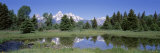 Trees in Snake River, Grand Teton National Park, Wyoming, USA Lámina fotográfica por Panoramic Images Trees in Snake River, Grand Teton National Park, Wyoming, USA Lámina fotográfica por Panoramic Images
