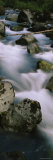 Skokomish River, Olympic National Park, Washington, USA Photographic Print by Panoramic Images 