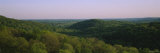 Trees in a Forest, Garden of the Gods Recreation Area, Shawnee National Forest, Illinois, USA Photographie par Panoramic Images 
