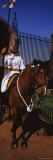 Horse Guardsman Sitting in Front of a Presidential Palace, Rashtrapati Bhavan, New Delhi, India Photographic Print by Panoramic Images 