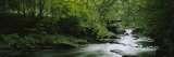 River Flowing in the Forest, Aberfeldy, Perthshire, Scotland Fotografie-Druck von Panoramic Images 