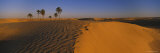 Palm Trees on a Landscape, Douz, Tunisia Lámina fotográfica por Panoramic Images