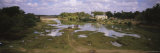 River, Madurai, Tamil Nadu, India Photographic Print by Panoramic Images 