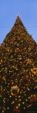 Christmas Tree, Union Square, San Francisco, California, USA Photographic Print by Panoramic Images Christmas Tree, Union Square, San Francisco, California, USA Photographic Print by Panoramic Images