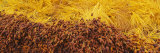 Dates on a Date Palm Tree, Tozeur, Tunisia Photographic Print by Panoramic Images 