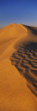 Sand Dunes in a Desert, Douz, Tunisia Photographic Print by Panoramic Images 