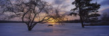 Reeds Lake, Grand Rapids, Michigan, USA Photographic Print by Panoramic Images 