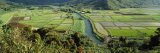 Rice Fields, Hanalei Valley, Hawaii, USA Photographic Print by Panoramic Images 
