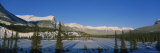 Frozen Saskatchewan River, Banff National Park, Alberta, Canada Photographic Print by Panoramic Images 