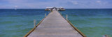 Pier in the Sea, Anna Maria City Pier, Anna Maria, Anna Maria Island, Manatee, Florida, USA Photographic Print by Panoramic Images Pier in the Sea, Anna Maria City Pier, Anna Maria, Anna Maria Island, Manatee, Florida, USA Photographic Print by Panoramic Images