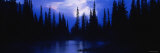 Silhouette of Trees in the Forest, Washington, USA Lámina fotográfica por Panoramic Images Silhouette of Trees in the Forest, Washington, USA Lámina fotográfica por Panoramic Images