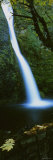 Horsetail Falls, Columbia River Gorge National Scenic Area, Oregon, USA Lámina fotográfica por Panoramic Images