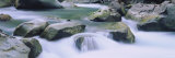 Skokomish River, Olympic National Park, Washington, USA Photographic Print by Panoramic Images 