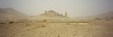 Ancient Tombs on a Landscape, Palmyra, Syria Photographic Print by Panoramic Images 