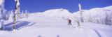 Person Skiing on a Snow Covered Landscape, Monashee Mountains, British Columbia, Canada Lámina fotográfica por Panoramic Images Person Skiing on a Snow Covered Landscape, Monashee Mountains, British Columbia, Canada Lámina fotográfica por Panoramic Images