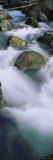 Skokomish River, Olympic National Park, Washington, USA Lámina fotográfica por Panoramic Images Skokomish River, Olympic National Park, Washington, USA Lámina fotográfica por Panoramic Images