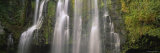 Llanos de Cortez Waterfall, Guanacaste Province, Costa Rica Photographic Print by Panoramic Images 