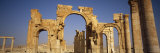 Old Ruins of Palmyra, Syria Photographic Print by Panoramic Images 