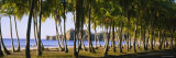 Panoramic Images - Palm Trees on the Beach, Carrillo Beach, Nicoya Peninsula, Guanacaste Province, Costa Rica - Fotografik Baskı Panoramic Images - Palm Trees on the Beach, Carrillo Beach, Nicoya Peninsula, Guanacaste Province, Costa Rica - Fotografik Baskı