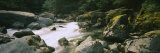 Skokomish River, Olympic National Park, Washington, USA Photographic Print by Panoramic Images 