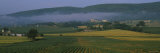 Fields in Front of Hills, Ampugnano, Tuscany, Italy Photographic Print by Panoramic Images Fields in Front of Hills, Ampugnano, Tuscany, Italy Photographic Print by Panoramic Images