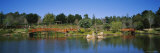 Reflection of Trees and Bridges in Water, Japanese Gardens in Toowoomba City, Queensland, Australia Lámina fotográfica por Panoramic Images Reflection of Trees and Bridges in Water, Japanese Gardens in Toowoomba City, Queensland, Australia Lámina fotográfica por Panoramic Images