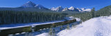 Train on a Railroad Track, Banff National Park, Alberta, Canada Photographic Print by Panoramic Images 
