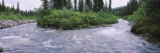 Trees Along a River, Willow Creek, Hatcher Pass Road, Alaska, USA Photographic Print by Panoramic Images 