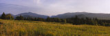 Trees at Lake Placid, Adirondack Mountains, New York, USA Lámina fotográfica por Panoramic Images Trees at Lake Placid, Adirondack Mountains, New York, USA Lámina fotográfica por Panoramic Images