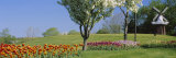 Flowering Plants in Front of a Traditional Windmill in a Park, Grand Rapids, Michigan, USA Photographie par Panoramic Images 