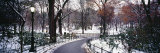 Walkway in a Park, Central Park, Manhattan, New York City, New York, USA Photographie par Panoramic Images 