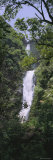 Tree in Front of a Waterfall, Moaula Falls, Halawa Valley, Molokai, Hawaii, USA Photographic Print by Panoramic Images 