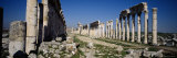 Old Ruins of Cardo Maximus, Apamea, Syria Photographic Print by Panoramic Images 