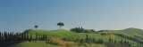 Cypress Trees on Hills, Tuscany, Italy Photographic Print by Panoramic Images Cypress Trees on Hills, Tuscany, Italy Photographic Print by Panoramic Images