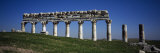 Columns on a Landscape, Apamea, Syria Photographic Print by Panoramic Images 