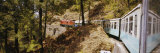 Toy Train Passing Through a Forest, Himachal Pradesh, India Photographic Print by Panoramic Images 