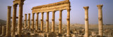 Old Ruins of Palmyra, Syria Lámina fotográfica por Panoramic Images Old Ruins of Palmyra, Syria Lámina fotográfica por Panoramic Images