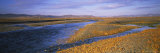River Flowing Through a Landscape, Uvurkhangai Aimag, Independent Mongolia Photographic Print by Panoramic Images 