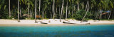 Palm Trees on the Beach, North Sumatra, Indonesia Lámina fotográfica por Panoramic Images