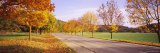 Treelined on Both Side of a Country Road, Baden-Wurttemberg, Germany Photographic Print by Panoramic Images 