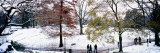 People in a Park, Central Park, Manhattan, New York City, New York, USA Photographic Print by Panoramic Images 