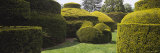 Hedges and Topiaries in a Garden, Wilmington, Delaware, USA Photographic Print by Panoramic Images 