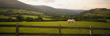 Horse in a Field, Enniskerry, County Wicklow, Republic of Ireland Photographic Print by Panoramic Images 