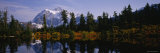 Reflection of Trees and Mountains in a Lake, Mt Rainier, Mt Rainier National Park, Washington, USA Lámina fotográfica por Panoramic Images Reflection of Trees and Mountains in a Lake, Mt Rainier, Mt Rainier National Park, Washington, USA Lámina fotográfica por Panoramic Images