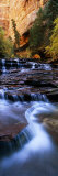 Waterfall in a Forest, North Creek, Zion National Park, Utah, USA Photographic Print by Panoramic Images 