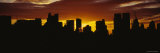 Central Park at Sunset, Manhattan, New York City, New York, USA Stampa fotografica di Panoramic Images Central Park at Sunset, Manhattan, New York City, New York, USA Stampa fotografica di Panoramic Images
